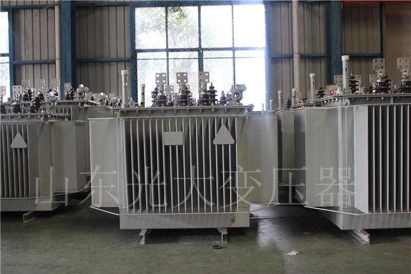 禄劝S20-500KVA/10KV